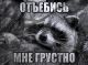 Без описания