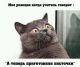 Без описания