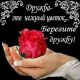 БЕРЕЖИ ДРУЖБУ