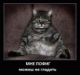 1375743518_9472.gif