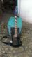 Ibanez RG370DXZ BK