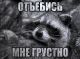 Без описания