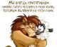 Без описания