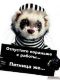 Без описания