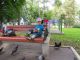 Без описания