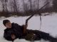Без описания