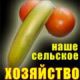 НАШ УРОЖАЙ