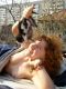 Без описания
