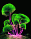 1386189537_8891.gif