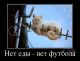 Без описания