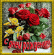следующее фото