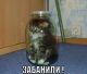 Без описания