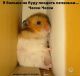 Без описания