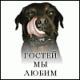 Без описания