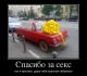 результат дня влюблённых