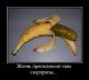 истинная изнанка любой рекламы