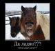 неужели свершилось