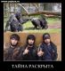 вот она,истина!)))