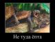 следующее фото