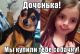 Без описания