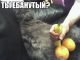 Без описания