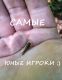 следующее фото