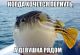 Без описания