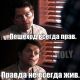 Без описания