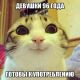 Без описания