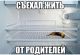 Без описания