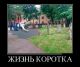 Без описания