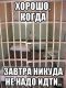 Без описания