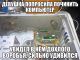 Без описания