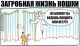 Без описания