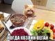 Без описания