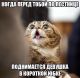 Без описания