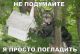 Без описания
