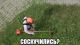 Без описания
