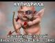 Без описания