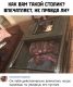 следующее фото