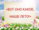Без описания