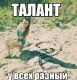 Без описания