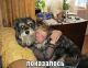 Без описания