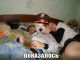 Без описания