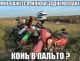 Без описания