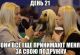 Без описания