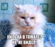 следующее фото