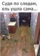 Без описания