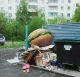 Без описания