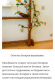 Без описания